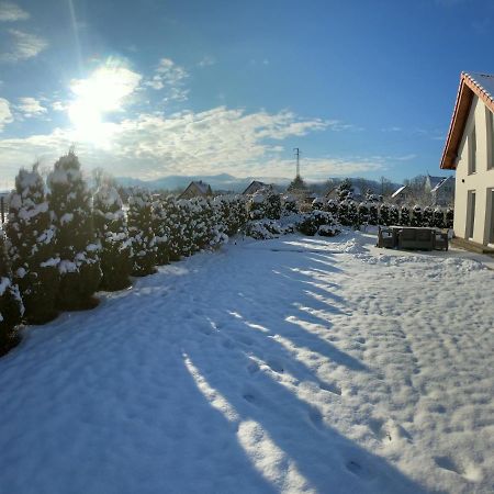 Вилла Sniezka House Мыслаковице Экстерьер фото